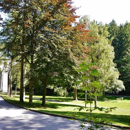 Appartement Happynest*** Mit Hallenbad Willingen  Extérieur photo