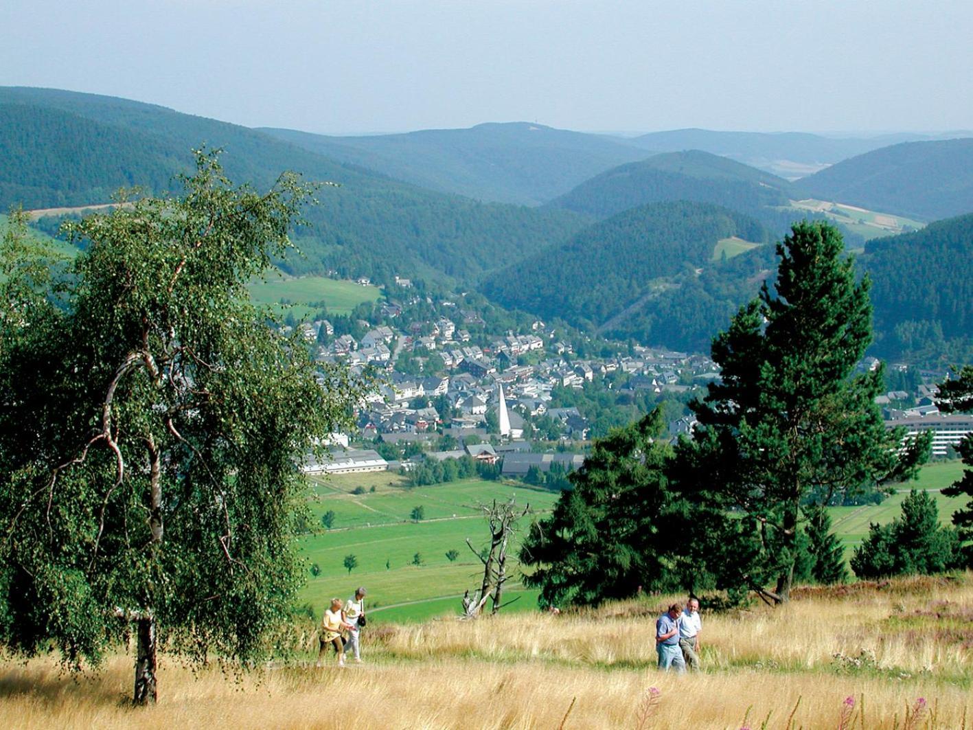 Appartement Happynest*** Mit Hallenbad Willingen  Extérieur photo