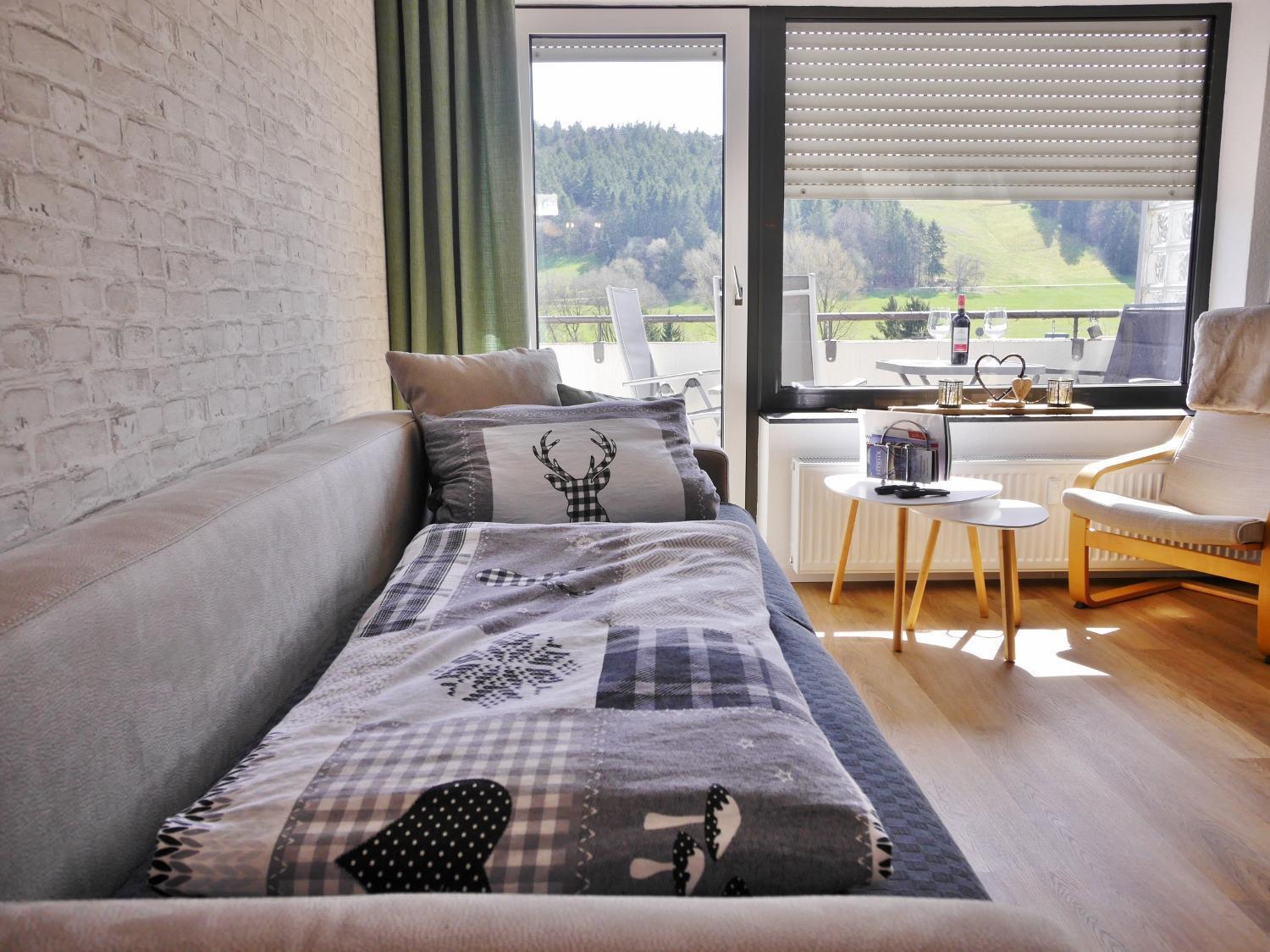 Appartement Happynest*** Mit Hallenbad Willingen  Extérieur photo