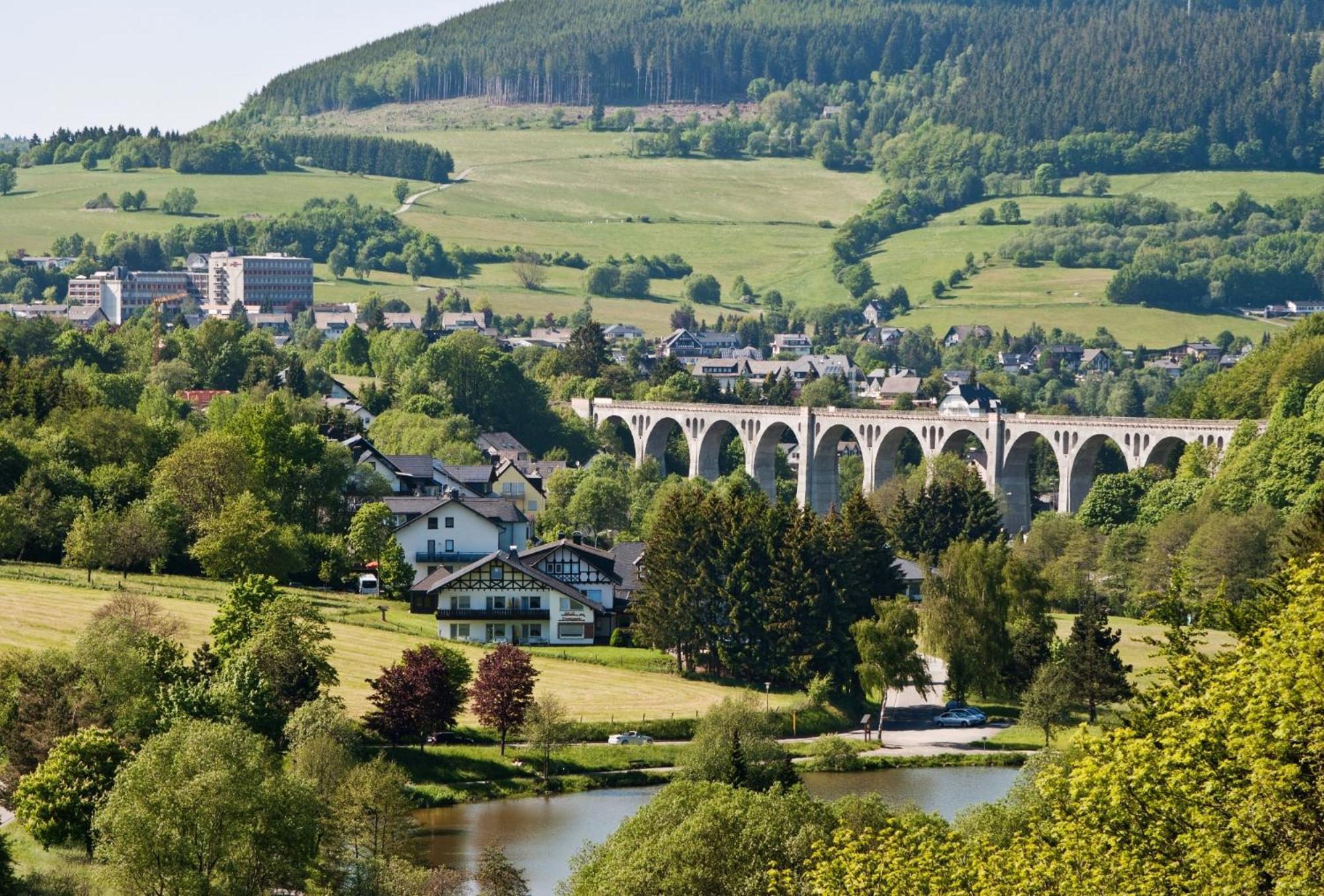 Appartement Happynest*** Mit Hallenbad Willingen  Extérieur photo
