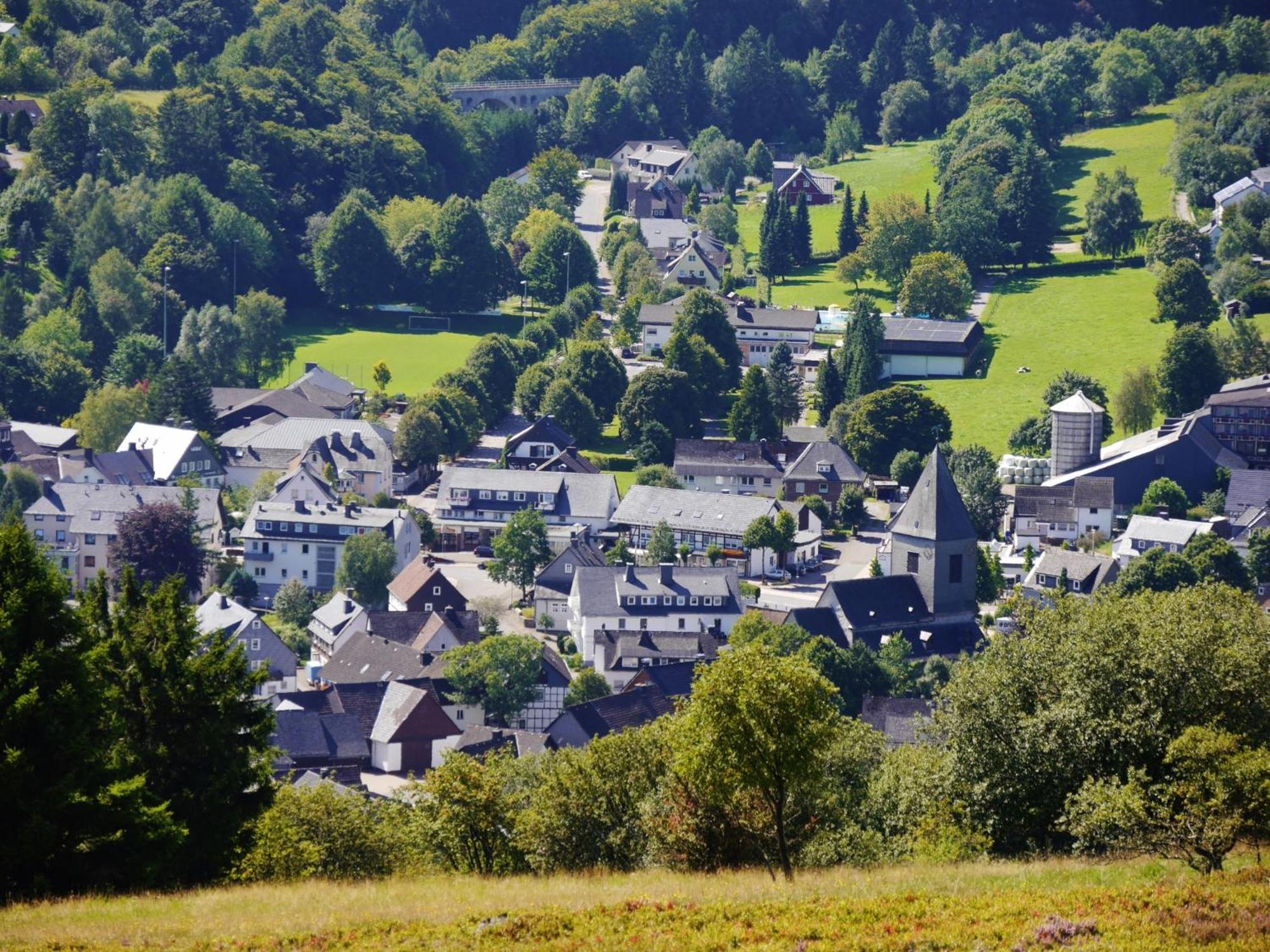 Appartement Happynest*** Mit Hallenbad Willingen  Extérieur photo